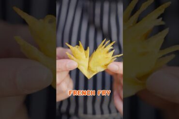 Discovering New French Fry Shapes