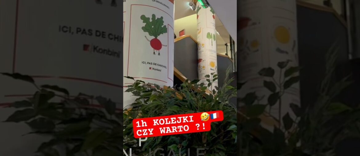 Godzina czekania, ale warto? Bouillon w Paryżu  #travel #parisfood #paris #food