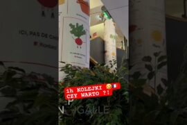 Godzina czekania, ale warto? Bouillon w Paryżu  #travel #parisfood #paris #food