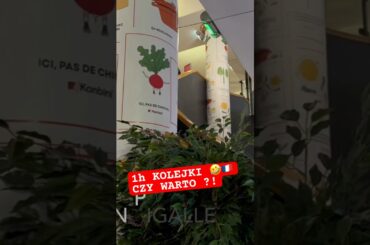 Godzina czekania, ale warto? Bouillon w Paryżu  #travel #parisfood #paris #food