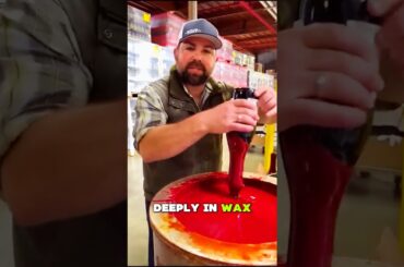 This “Mistake” Made Wine 50x More Expensive 🍷