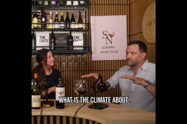 Terroir: The Secret to Amazing Wine? #shorts