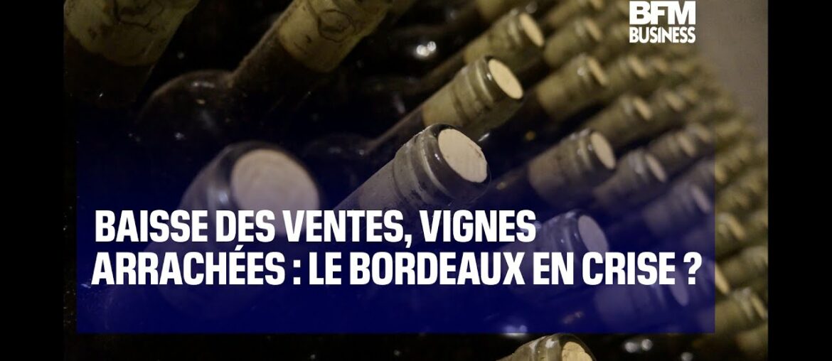 Baisse des ventes, vignes arrachées : le Bordeaux en crise ?