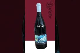 Red Wine With Fish? White Wine With Steak? France Says YES 🇫🇷🍷