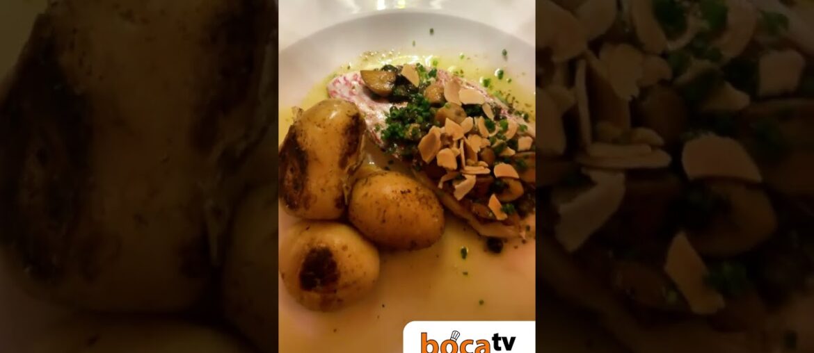 Brasserie Margaux: gastronomia francesa no Morumbi 🇫🇷🍽️