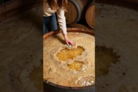 This French Wine Takes 6 Years to Make and Ages for Over 100 Years