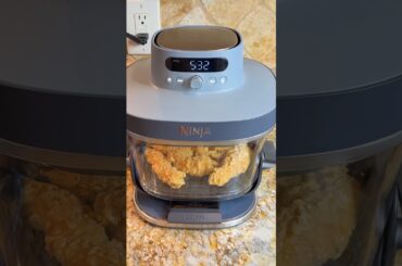 Ninja Crispi & Crispi Pro: My Brutally Honest Review