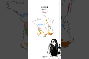 Petit Quiz - Terroir - Régions viticoles françaises #vin #apprendrelevin #degustation  #france