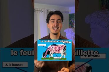 Les 5 plats français les plus dégoûtants pour les étrangers #plat #france #cuisine #touriste