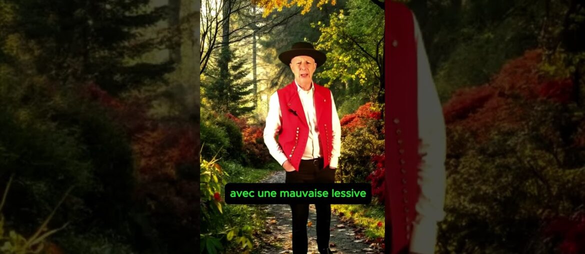 lessive pro Thierry STRAUSS