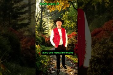 lessive pro Thierry STRAUSS