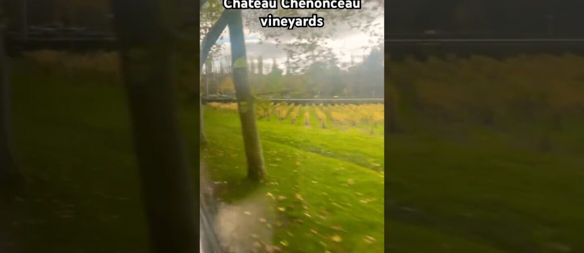 Vineyard Chateau Chenonceau #beautiful #usa #travel #wow #france #wine #loirevalley #winecountry