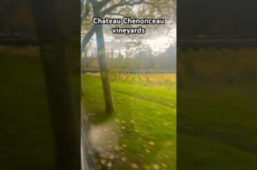 Vineyard Chateau Chenonceau #beautiful #usa #travel #wow #france #wine #loirevalley #winecountry