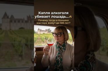 А вы любите какой коньяк?Секрет долголетия из Франции 🥃 #коньяк #франция #путешествия