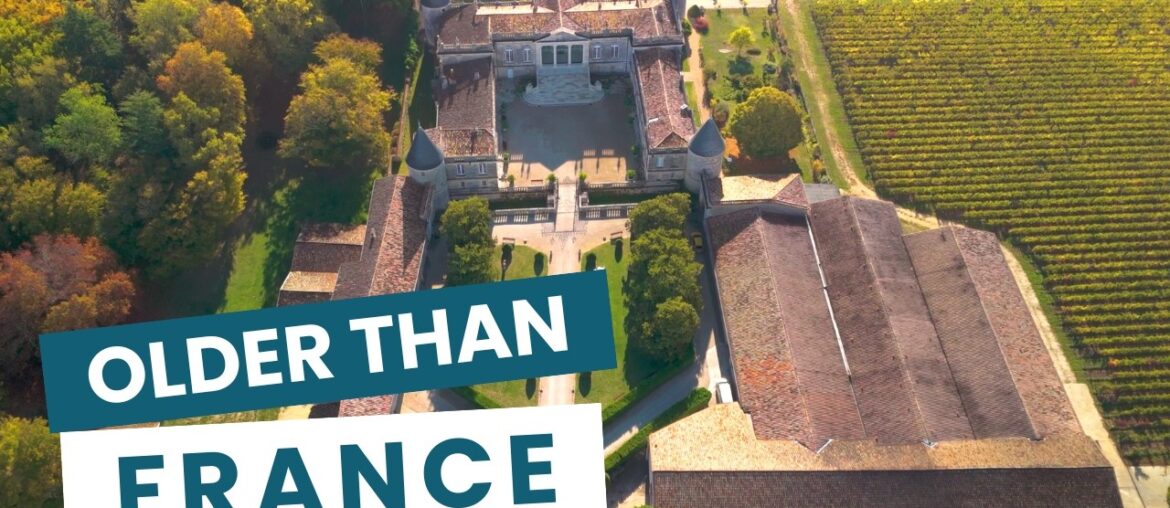 A Vineyard Older Than France - 2,000 Years of Survival