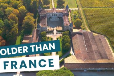 A Vineyard Older Than France - 2,000 Years of Survival