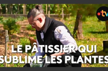 Adrien Salavert, champion de France de pâtisserie qui sublime les plantes aromtiques