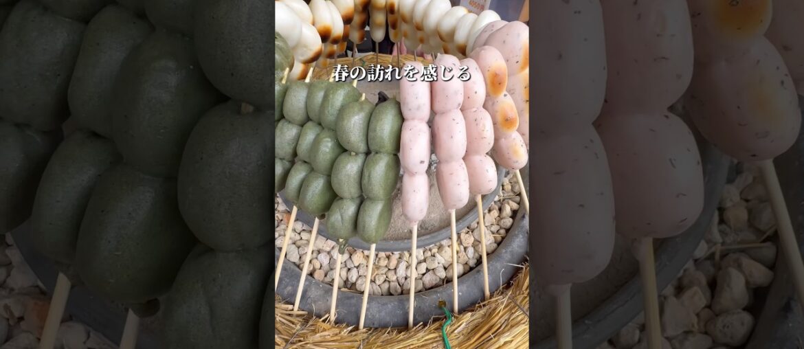 【香川グルメ】野田屋  打込みうどん #japanesefood