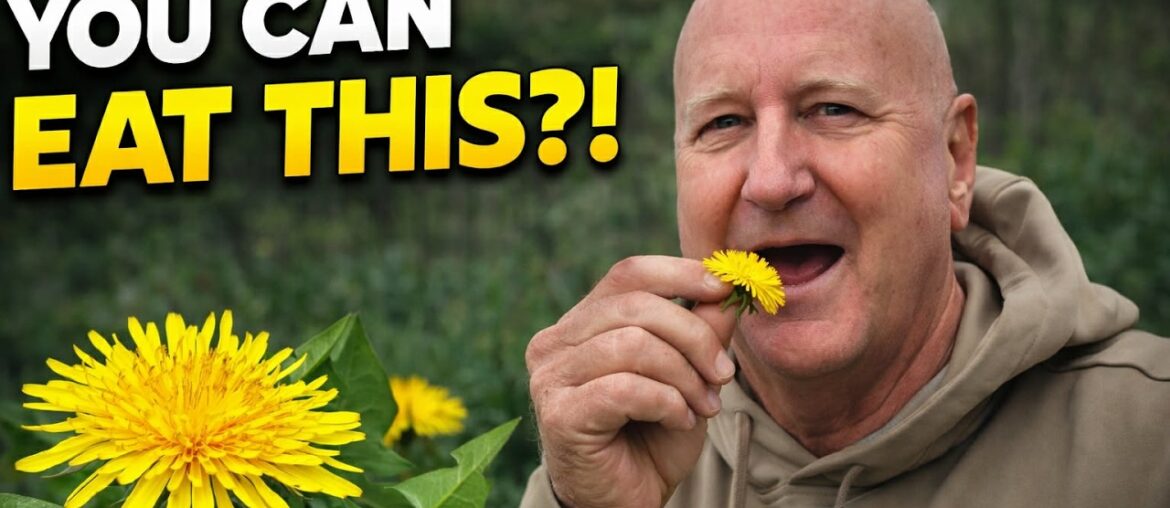 Why are people EATING Dandelions from their Yard?