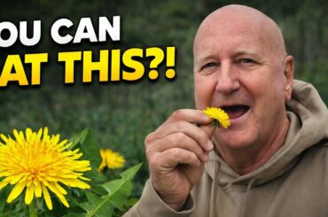 Why are people EATING Dandelions from their Yard?