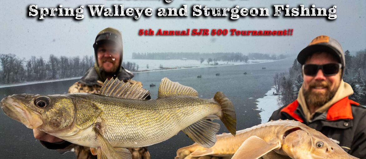 Pre-Spawn Walleyes & Sturgeon on the Rainy River (SJR500 Derby)