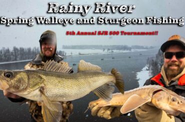 Pre-Spawn Walleyes & Sturgeon on the Rainy River (SJR500 Derby)