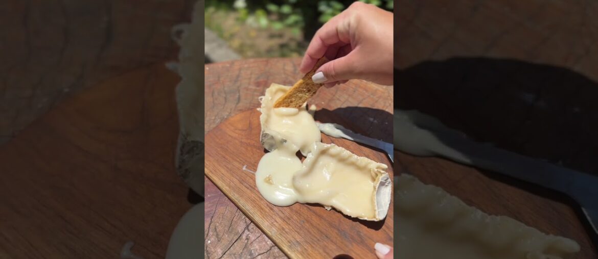Queijo Chabichou: como é o sabor do queijo de cabra francês? 🐐✨ #Fusqueijão