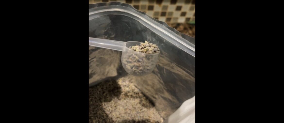 Best Bulk Lavender? Organic French Lavender Review. #ad.