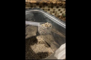 Best Bulk Lavender? Organic French Lavender Review. #ad.