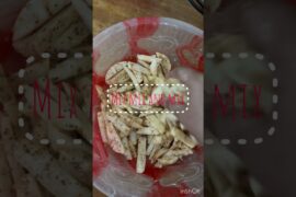 French Fries Recipe Using Pegion Air Fryer #airfryerrecipes #healhtyrecipes #snacks #airfryerfries