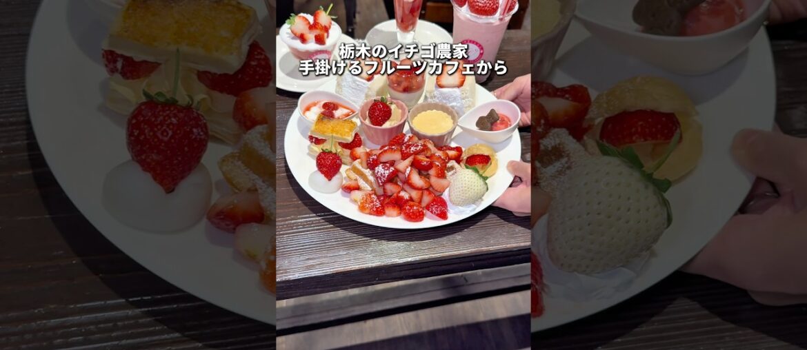 栃木グルメ【苺農家が手掛けるカフェから新メニューが登場！】鹿沼 イチゴノトリコ