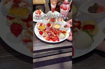 栃木グルメ【苺農家が手掛けるカフェから新メニューが登場！】鹿沼 イチゴノトリコ