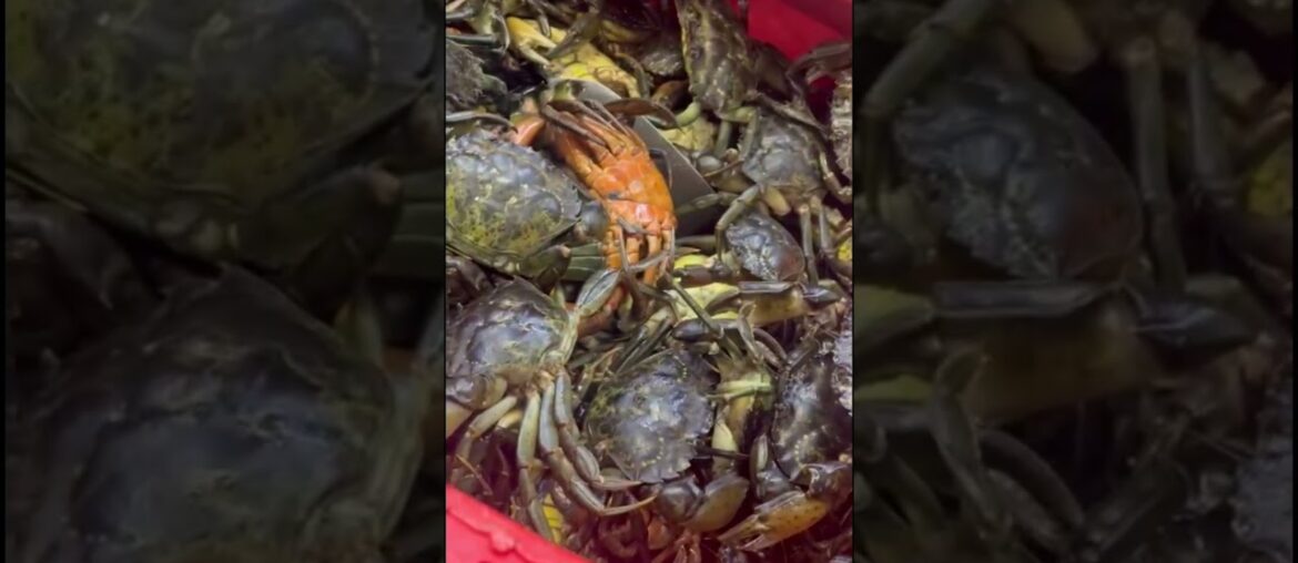 Delicious french food #foryou #subscribe