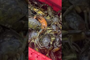 Delicious french food #foryou #subscribe