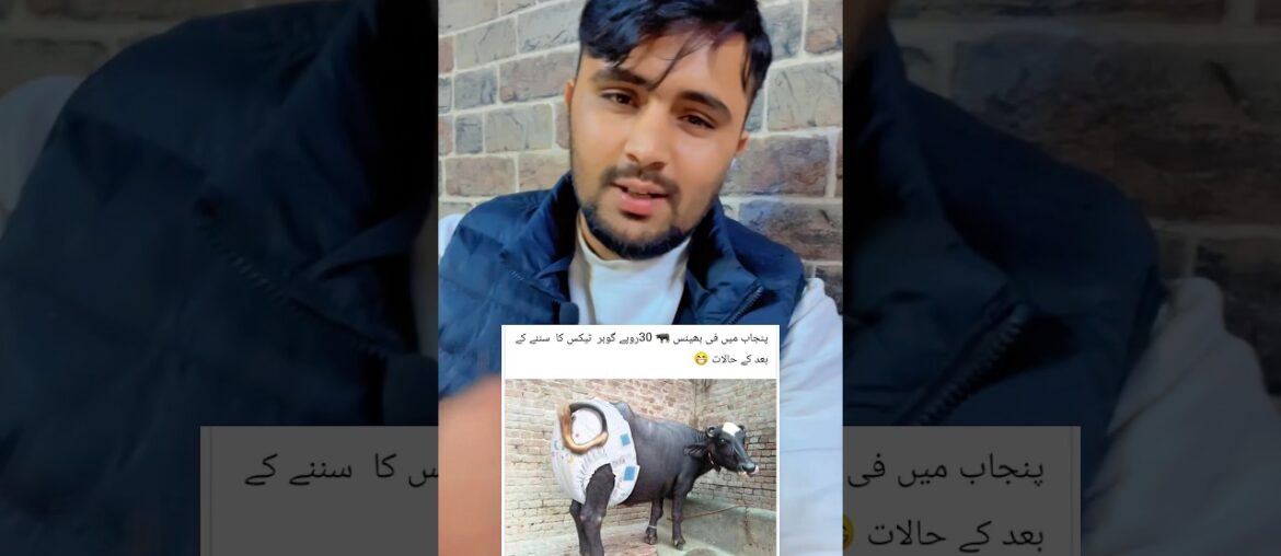 Bhanso k gobar par Tex well done govt Pakistan 😳😄 #gourmet #pakistannews #pakistanipolitics