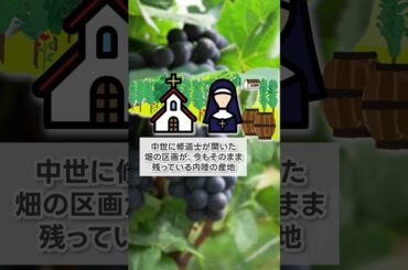 問題です！フランスの有名ワイン産地3選を当てろ！？【ソムリエ・ワインエキスパート試験対策】