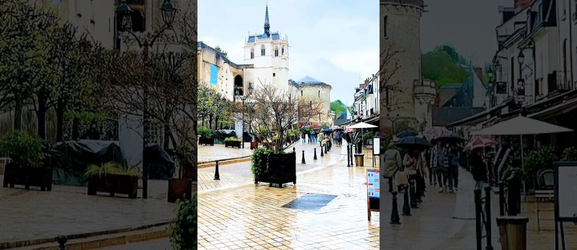 FRANCE 🇫🇷 #amboise #degustation #lifeisbutadream #france #travel #shortsvideo