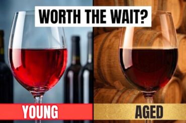 The Magic of Aged Wine (Why It’s Worth the Wait)