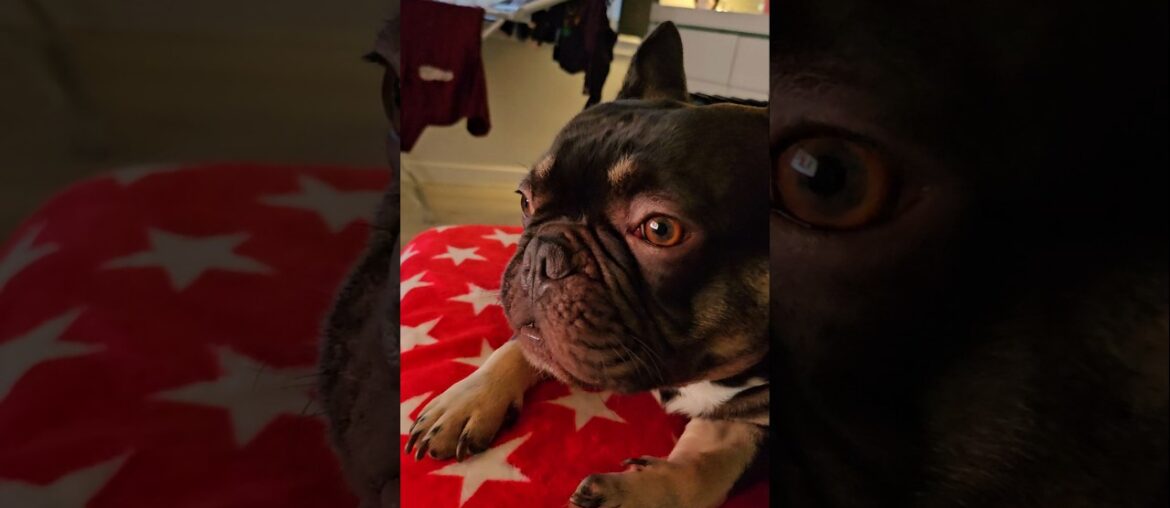 Air flavoured Gourmet meal 😋