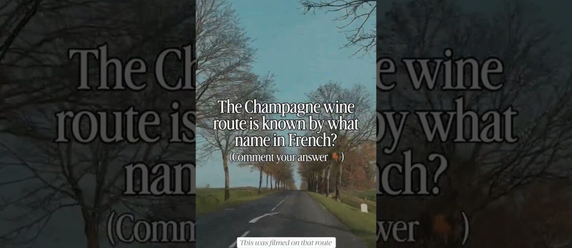 The Champagne wine route is known by what name in French?