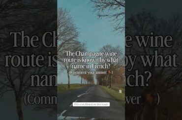 The Champagne wine route is known by what name in French?