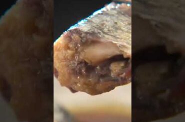 #Shorts【美味しい】ショップチャンネルのグルメ動画 #shopchannel #グルメ