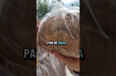 Pan de Masa Madre #pandemasamadre #entregaadomicilio #riquisimo #productosorgánicos #gourmet