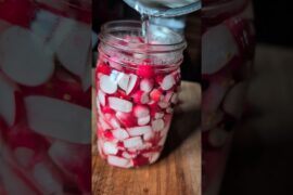Pickled French Radishes for Refrigerator #radish #pickledradish #greenhouse #harvest