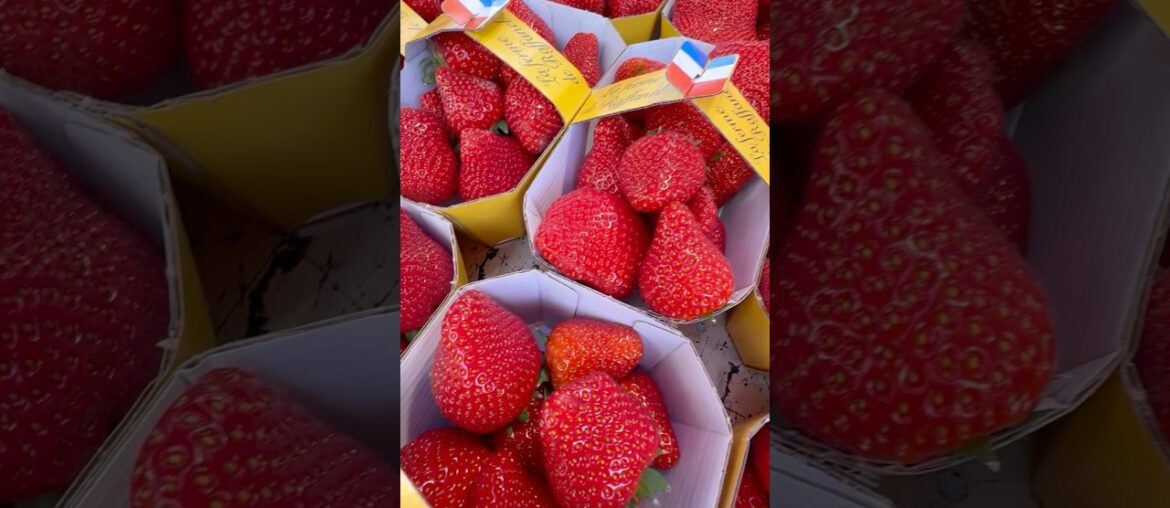 Pourquoi les fraises françaises sont-elles si bonnes ? #food #france #frenchfood
