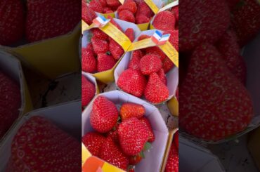 Pourquoi les fraises françaises sont-elles si bonnes ? #food #france #frenchfood