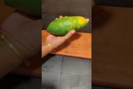 papaya French fry ⁉️#cooking #recipe #viral#Rashida kitchen#shorts video#short