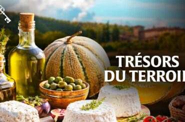 Provence gourmande : Les Secrets des Saveurs Authentiques du terroir | Trésors du Patrimoine