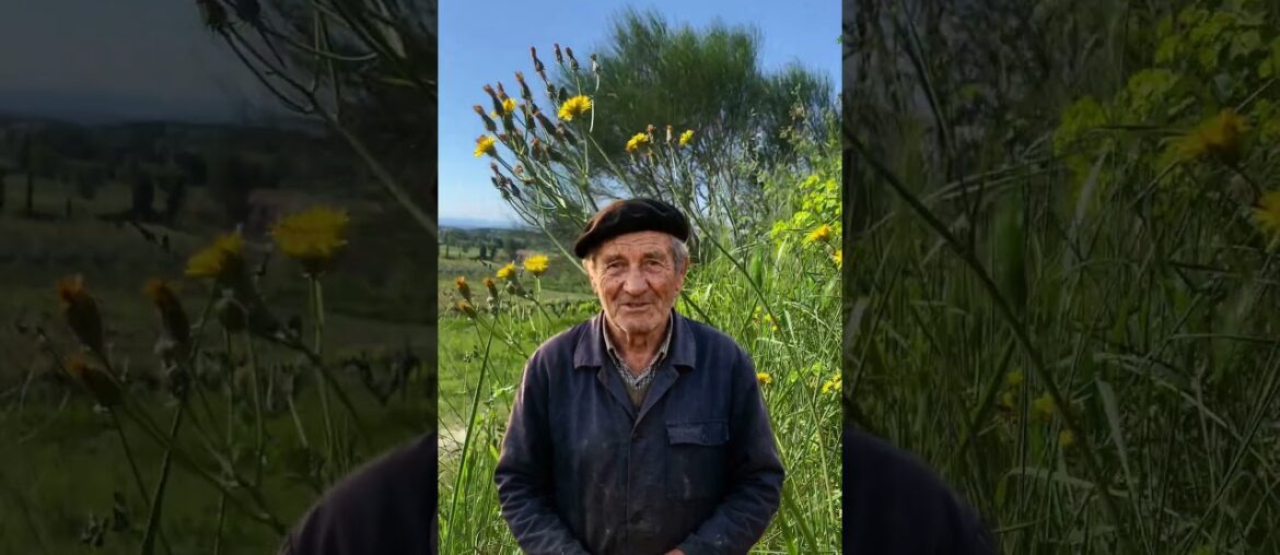 Why the Mistral is the Secret Behind Cairanne Wine 🌬️ | Provence, France