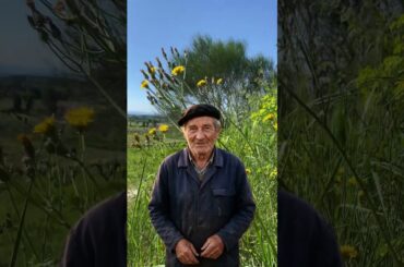 Why the Mistral is the Secret Behind Cairanne Wine 🌬️ | Provence, France